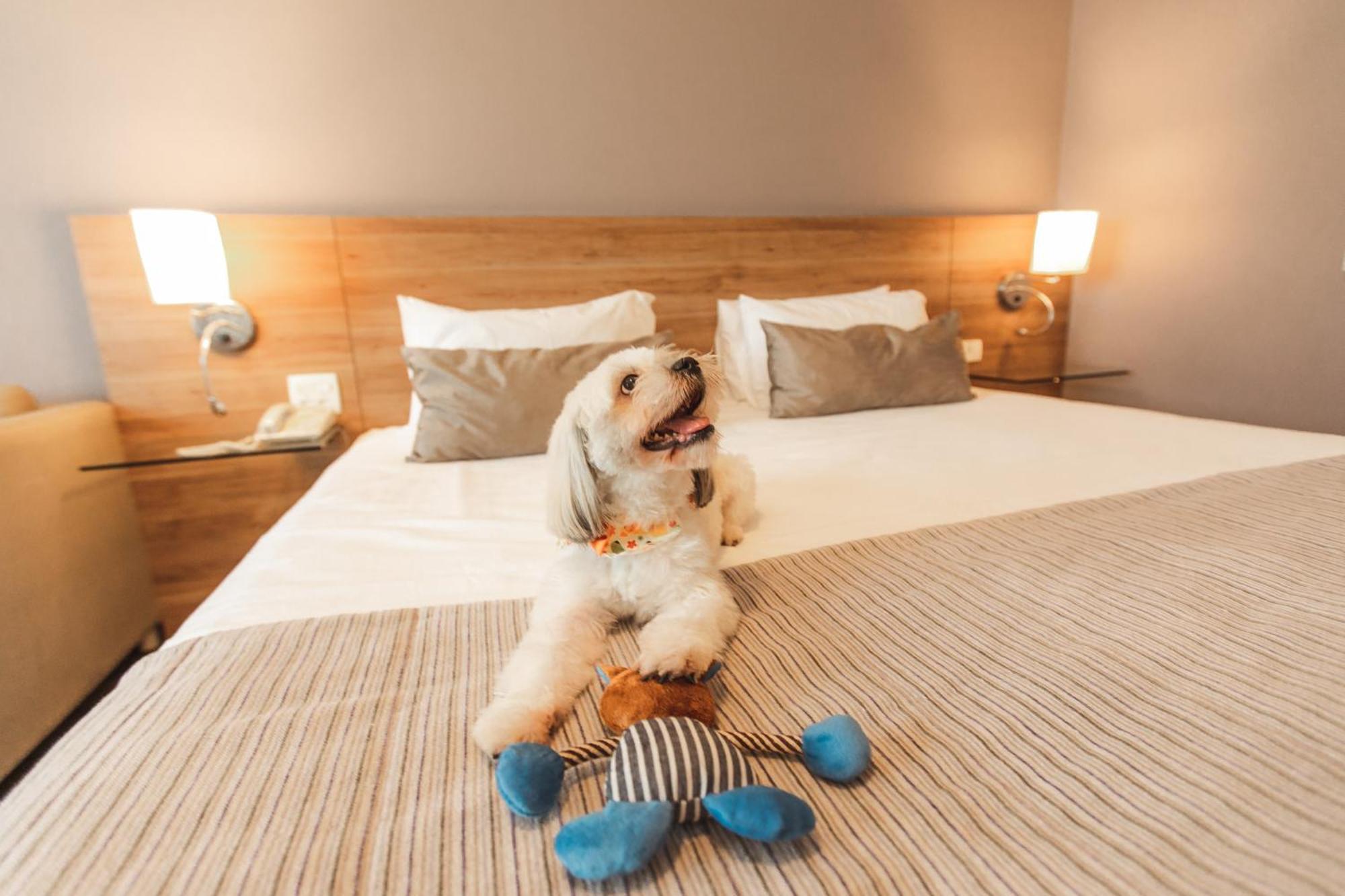 Comfort Hotel Londrina